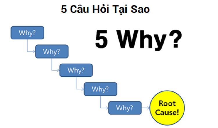 5 why là gì?