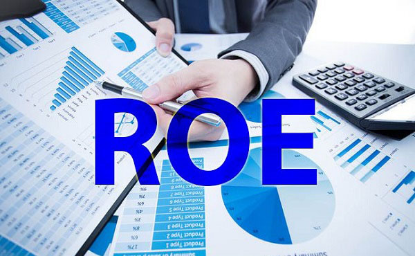 ROE là viết tắt của cụm từ Return On Equity là lợi nhuận trên vốn chủ sở hữu