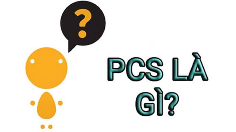 PCS là gì? Phân biệt các khái niệm về PCS được sử dụng phổ biến hiện nay 