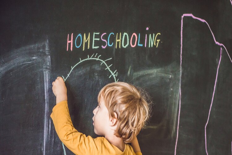 Dịch nghĩa homeschooling là gì?