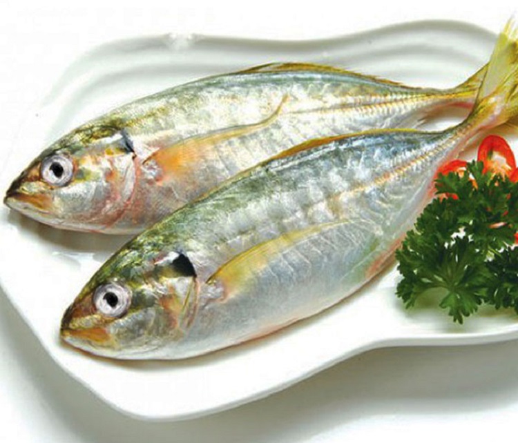 Giá trị dinh dưỡng của cá bạc má là gì?